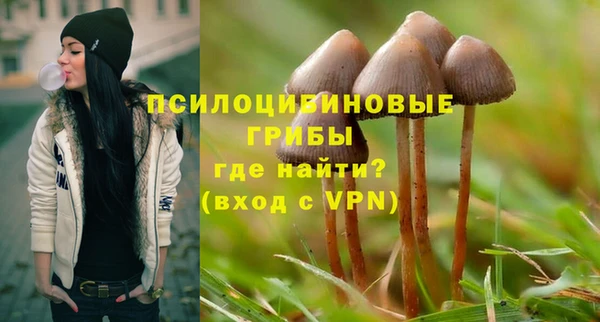 PSILOCYBIN Белоозёрский